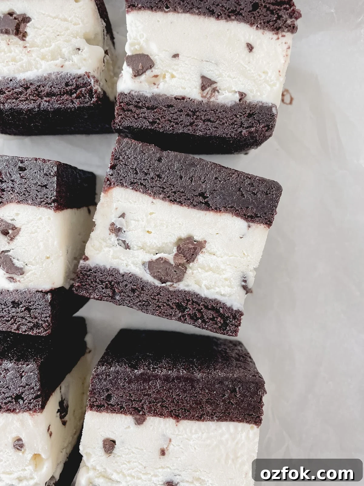 Mint Chocolate Chip Ice Cream Sandwich Recipe — Homemade Treat Under 65 Minutes 3 img 46 2