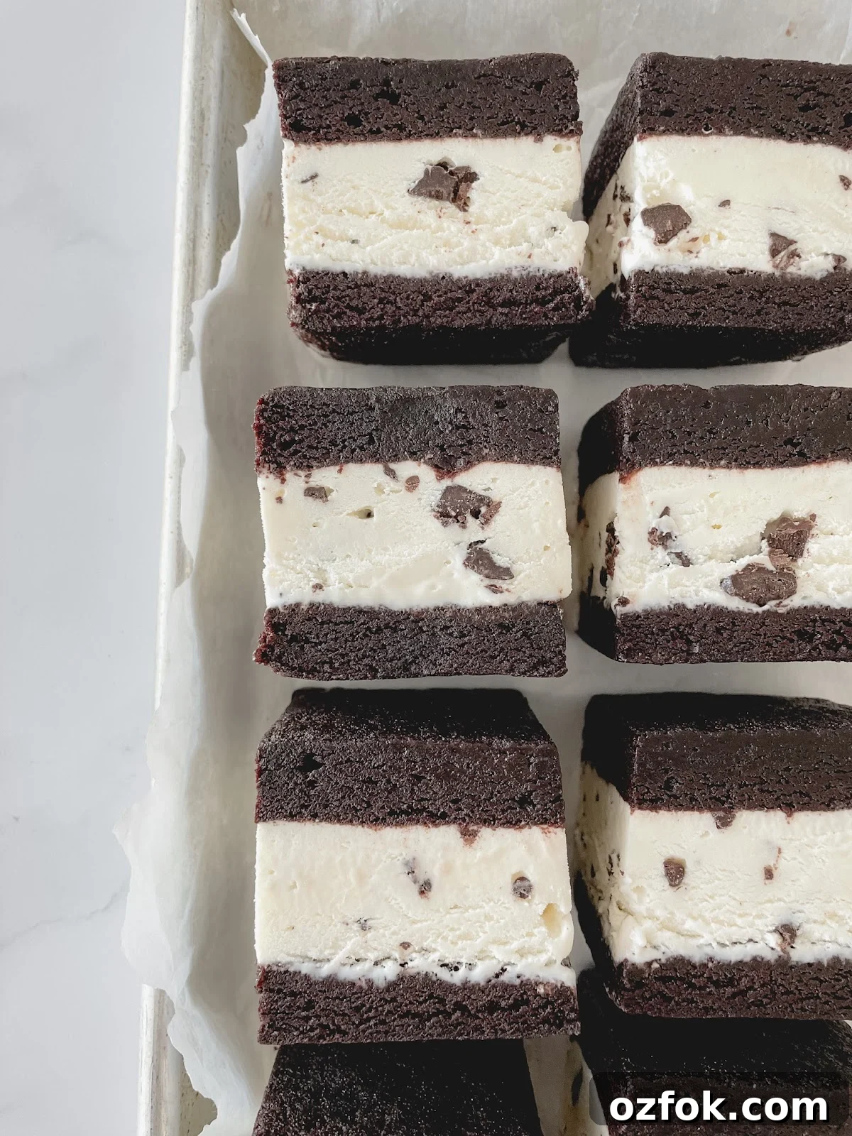 Mint Chocolate Chip Ice Cream Sandwich Recipe — Homemade Treat Under 65 Minutes 8 img 46 7
