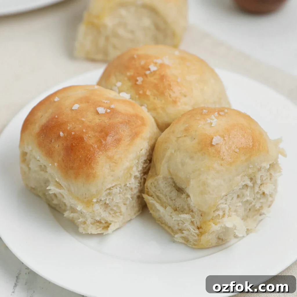 Soft fluffy dinner rolls with golden tops and sea salt flakes on a white plate.