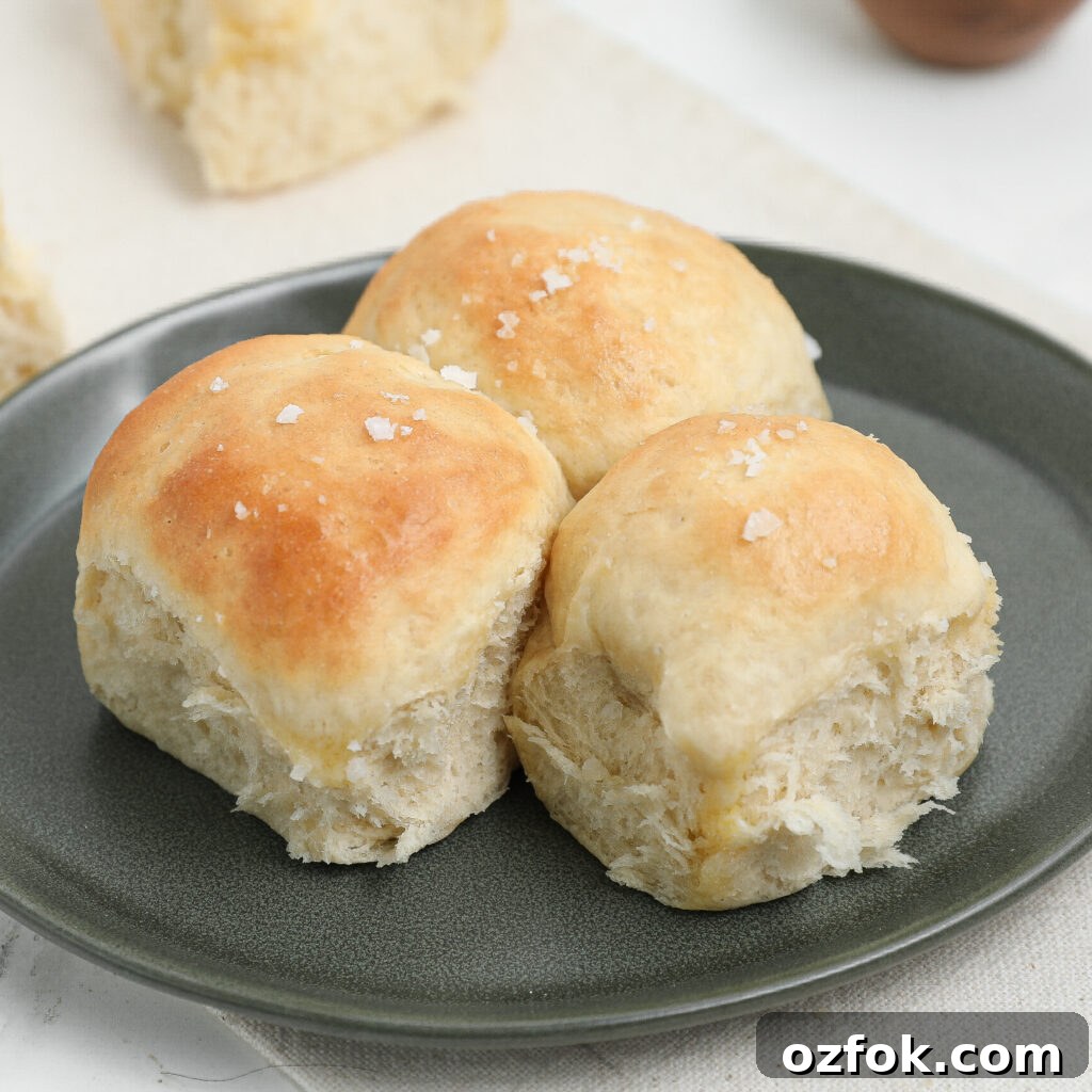 Three golden-brown dinner rolls topped with coarse salt are arranged on a dark gray plate.