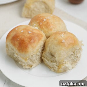 Soft fluffy dinner rolls with golden tops and sea salt flakes on a white plate.