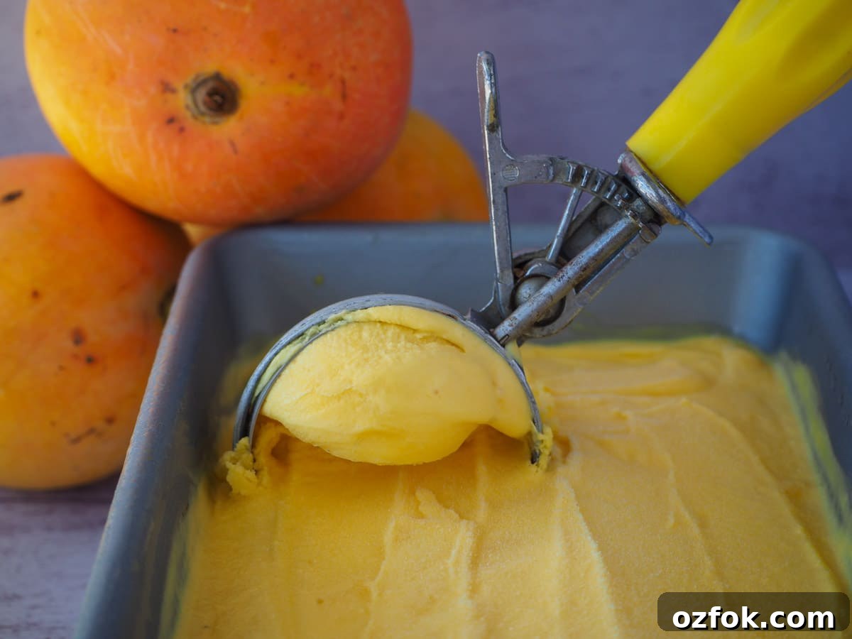 Creamy Mango Ice Cream Recipe: Fresh Mango Frozen Dessert 14 Scooping mango ice cream from a pan with a vintage ice cream scoop.