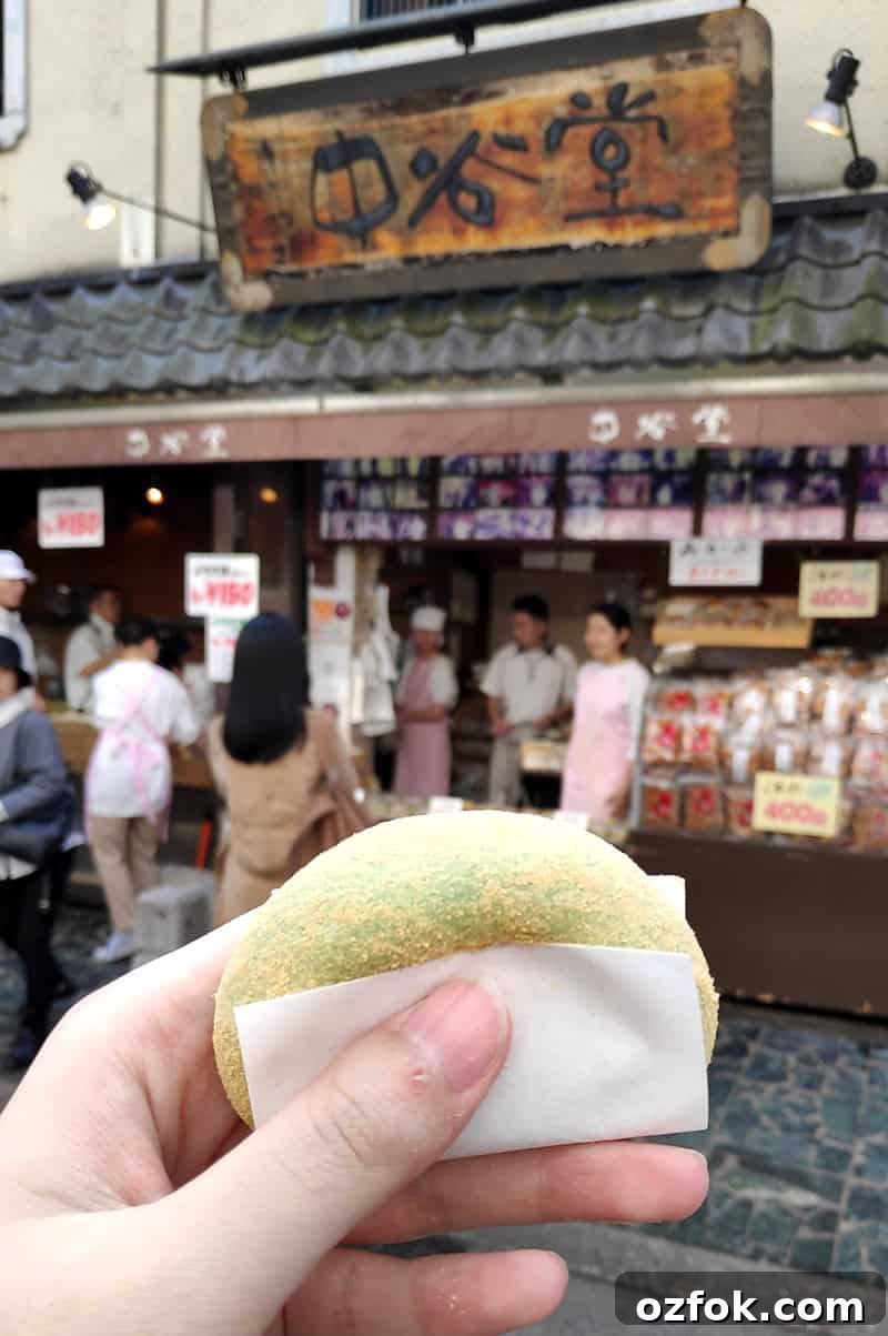 Kinako Red Bean Mochi Recipe: Chewy Japanese Sweet Treat 3 Nakatanidou mochi