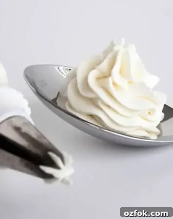 Chocolate Whipped Cream Frosting with Cream Cheese 9 Whipped Cream Cream Cheese Frosting on a spoon
