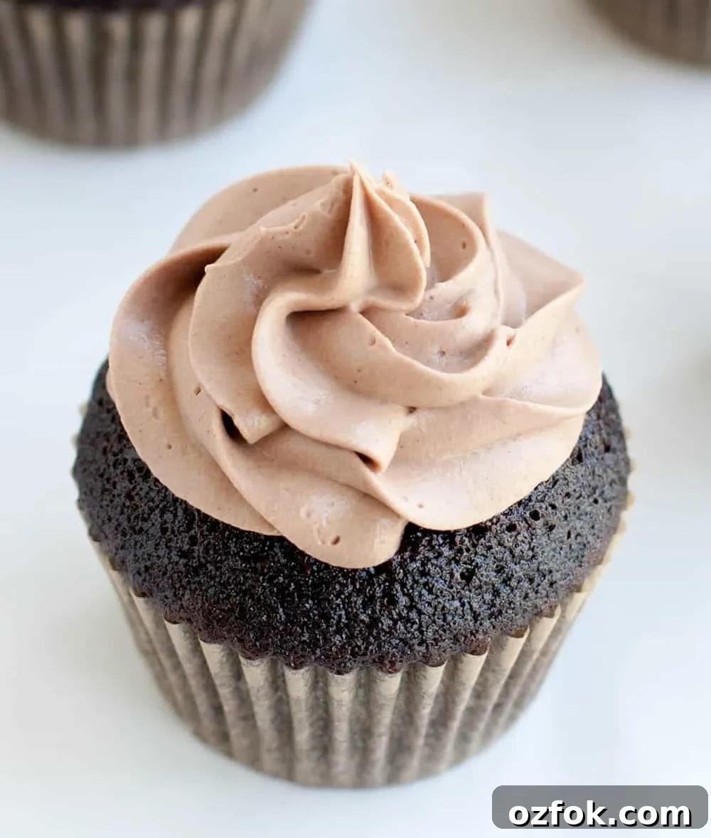 Chocolate Whipped Cream Frosting with Cream Cheese 3 img 5312 4