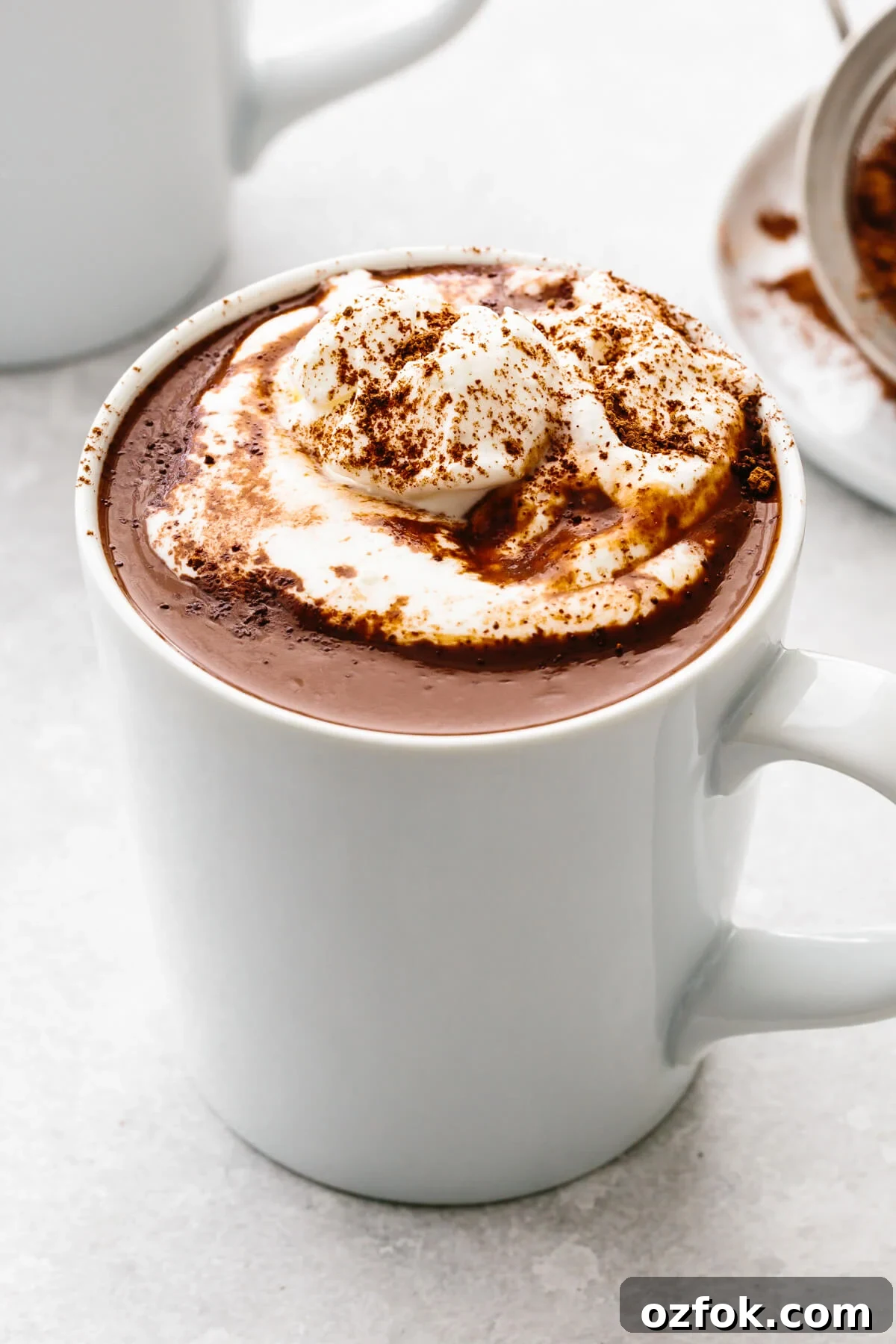 A white mug of hot chocolate and whipped cream.