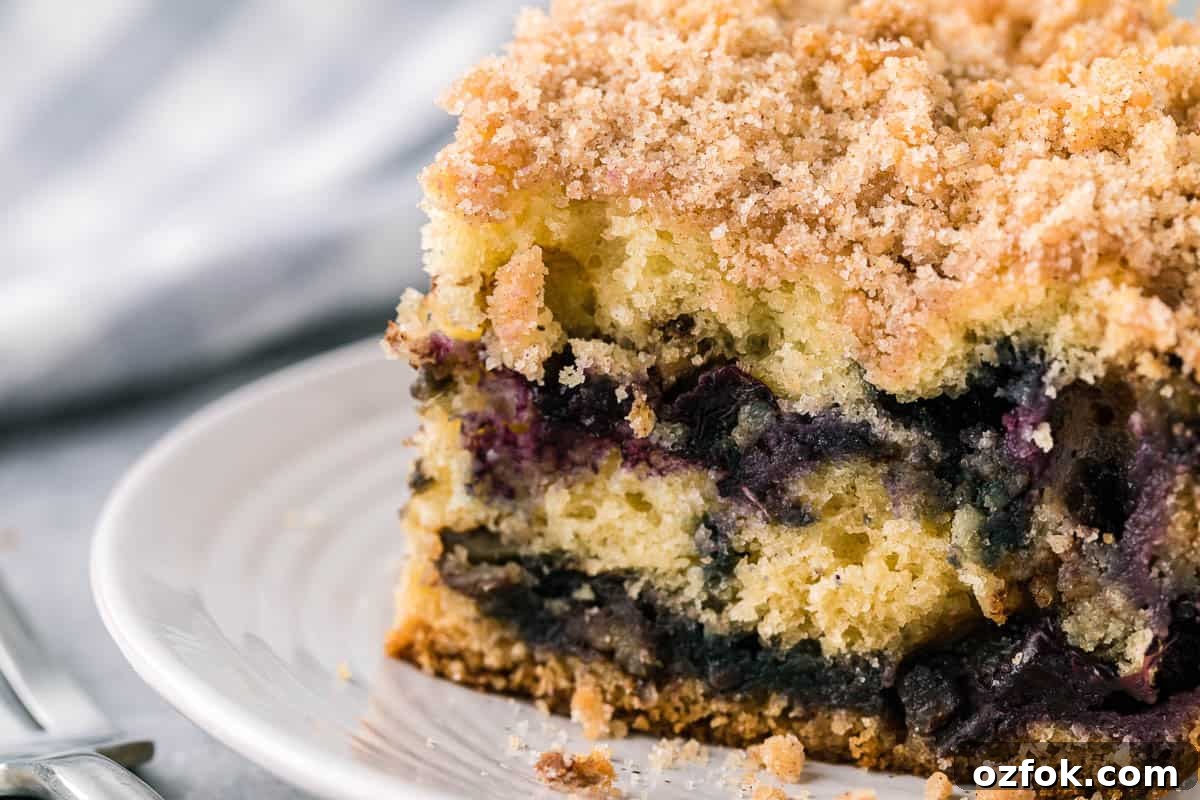 close up of a serving of blueberry coffee cake on plate.