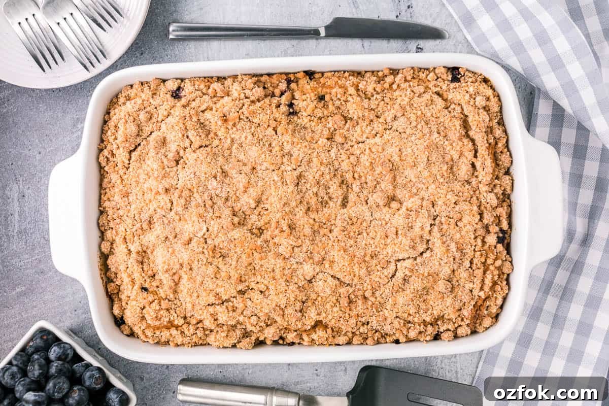 blueberry coffee cake with streusel topping in baking dish.