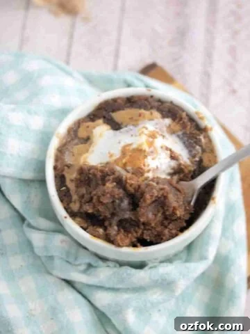 Chocolate protein mug cake