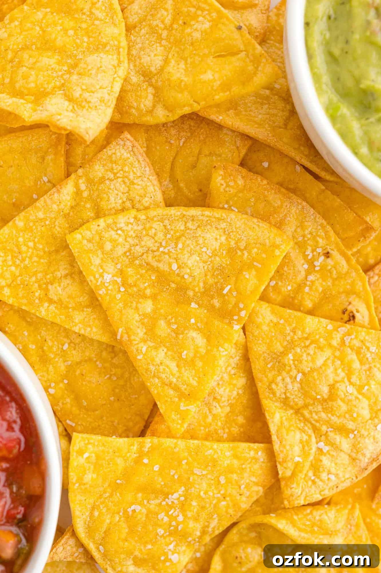 Crispy Air Fryer Tortilla Chips Recipe for Perfect Crunch 2 Layers of tortilla chips, guacamole and salsa partially visible.