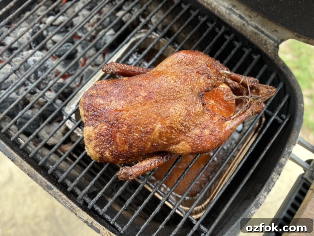 Crispy-Skinned Roast Duck on the Grill: Step-by-Step Recipe 5 whole duck on the grill