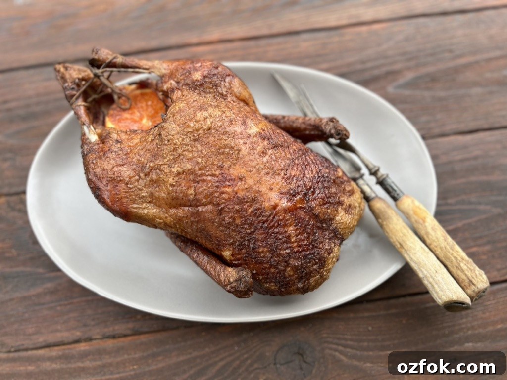 Crispy-Skinned Roast Duck on the Grill: Step-by-Step Recipe 6 perfect whole roast duck on the grill with crispy skin