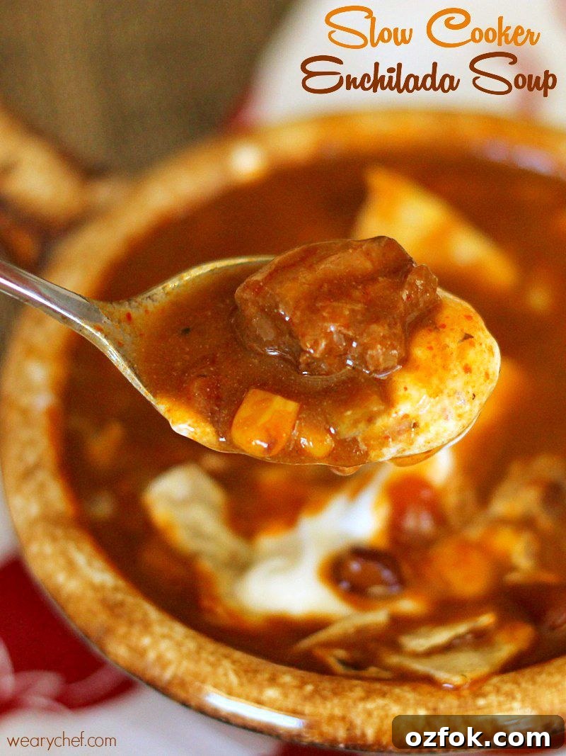 Creamy Green Chicken Enchilada Soup Recipe for Weeknights 5 Beef Enchilada Slow Cooker Soup