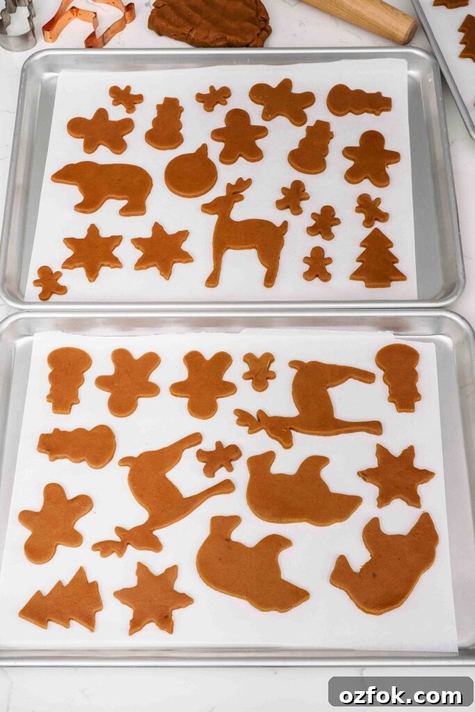 Unbaked gingerbread cookies on two lined baking sheets.