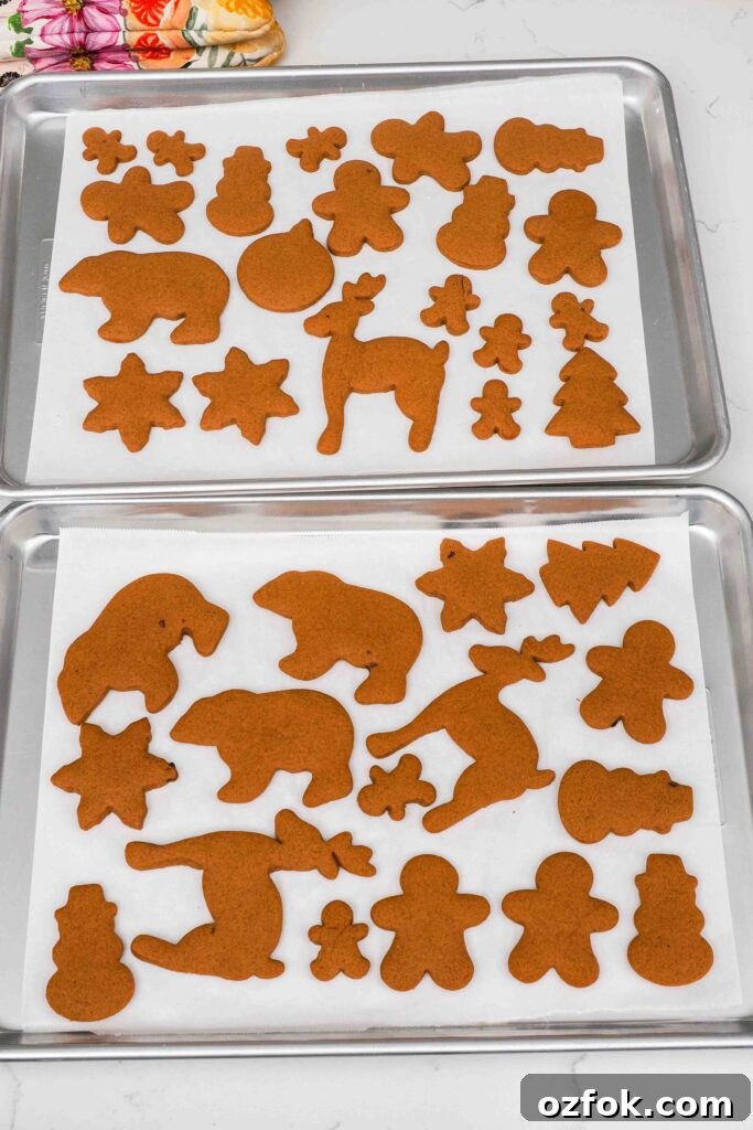 Baked gingerbread cookies on two lined baking sheets.