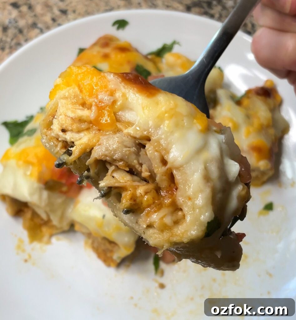 Creamy White Chicken Enchiladas Recipe for Weeknight Dinners 13 White Chicken Enchiladas