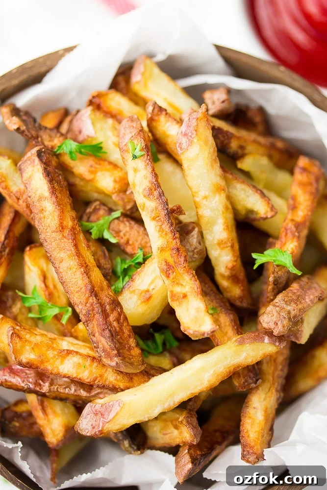 Crispy Air Fryer French Fries Recipe 2 crispy fries on a plate with parsley