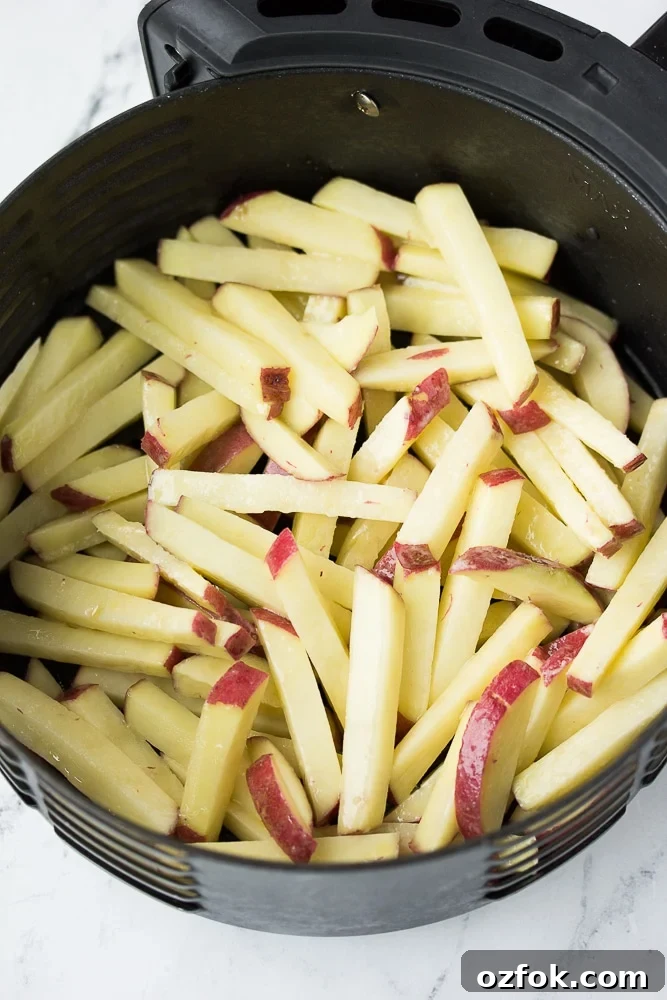 Crispy Air Fryer French Fries Recipe 5 potatoes in an air fryer not yet cooked