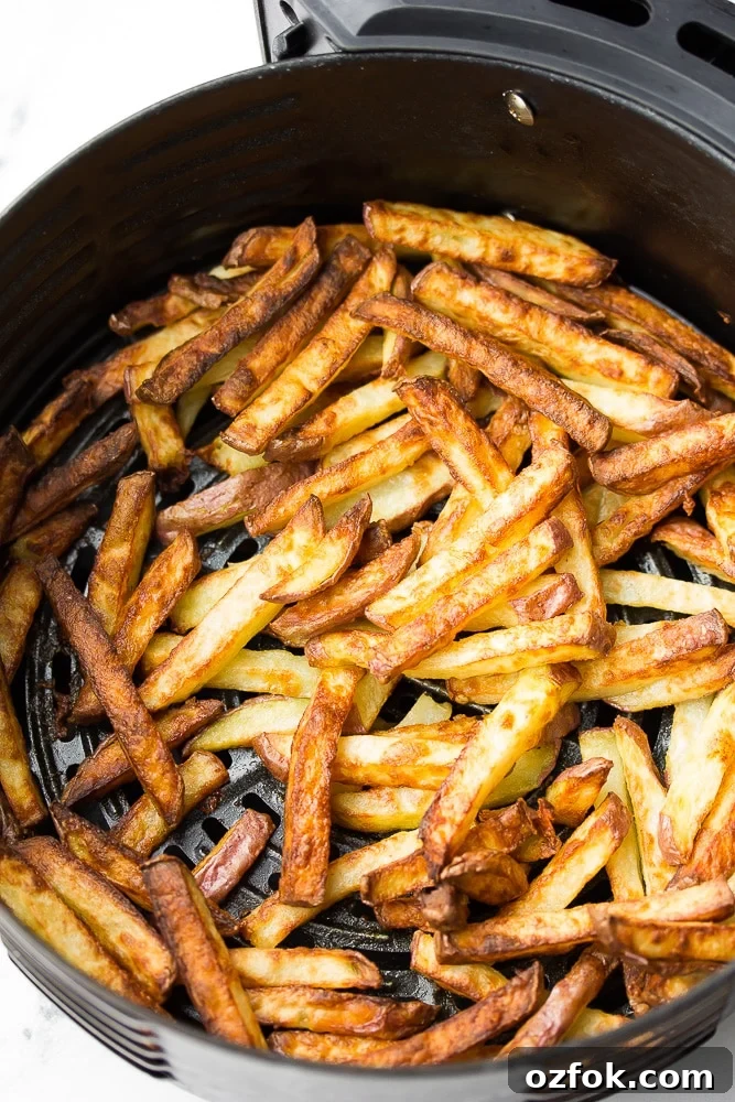 Crispy Air Fryer French Fries Recipe 6 crispy golden fries in air fryer basket