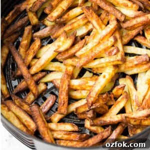 Crispy Air Fryer French Fries Recipe 7 square image of fries in instant pot basket