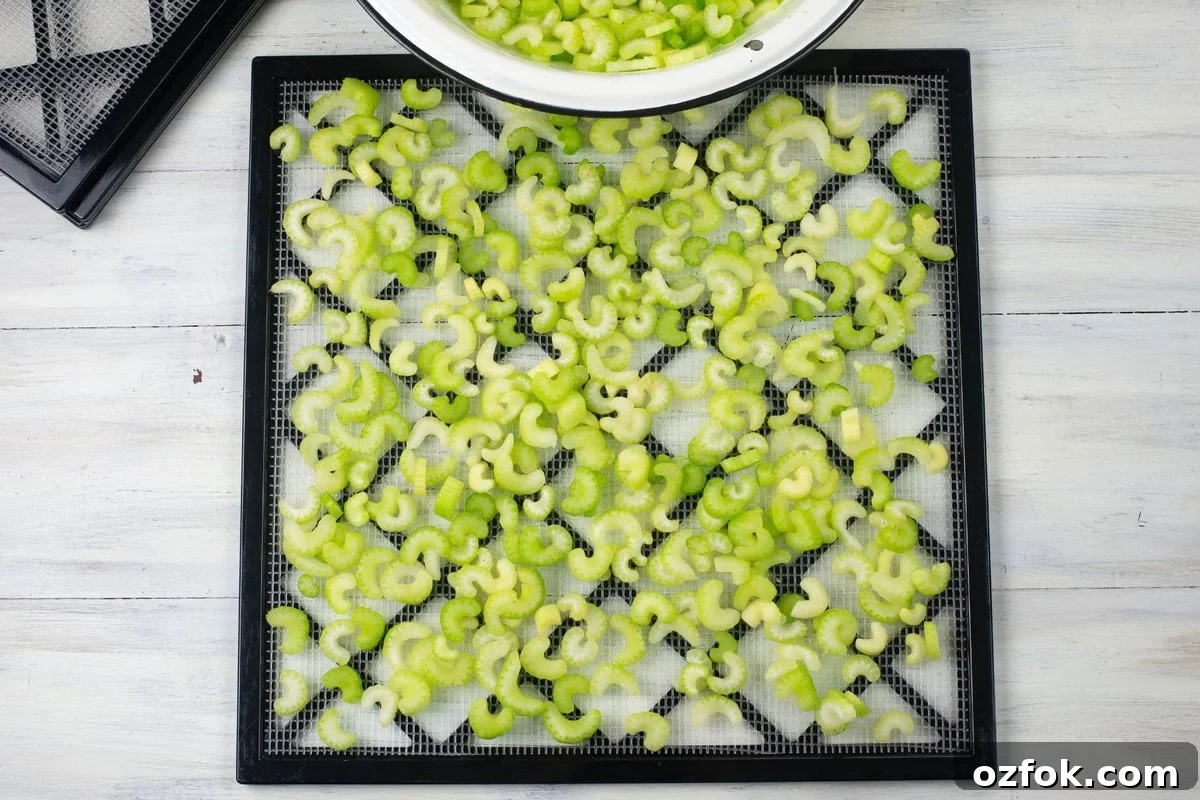 Dehydrating Celery: Step-by-Step Guide for Crispy, Long-Lasting Stalks 4 Raw slices of celery arranged on a dehydrator tray in a single layer.