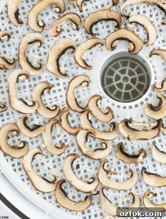 sliced fresh mushrooms on a food dehydrator tray