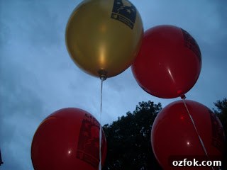 Fighting for a Cure: Join Our Campaign to End Disease 3 Light The Night photo 2