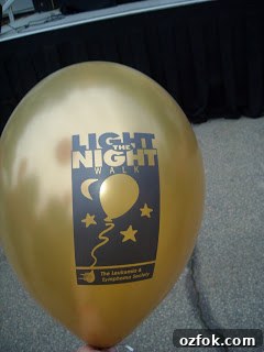 Light The Night photo 3