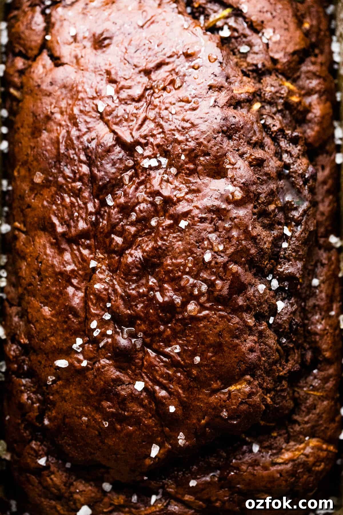 up close shot of chocolate zucchini bread in a loaf pan