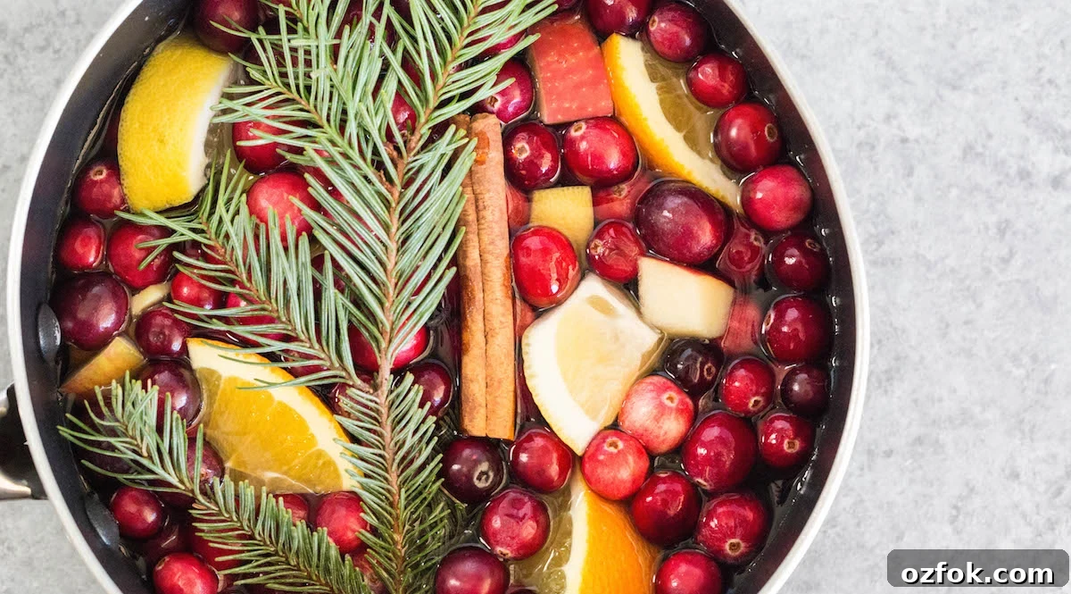 Homemade Christmas Potpourri Recipe for Festive Scented Décor 2 Overhead view of a pot filled with homemade Christmas Potpourri.