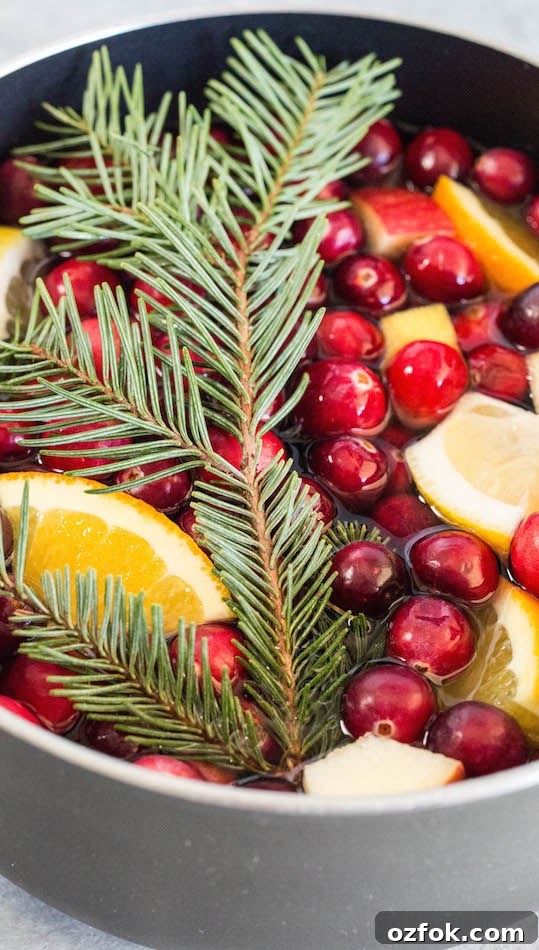 Homemade Christmas Potpourri Recipe for Festive Scented Décor 3 Close up of homemade Christmas potpourri with a Christmas tree branch, chopped citrus, and fresh cranberries.