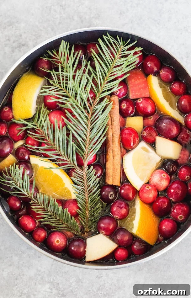 Homemade Christmas Potpourri Recipe for Festive Scented Décor 4 Christmas Potpourri Recipe in a pot on a white background.