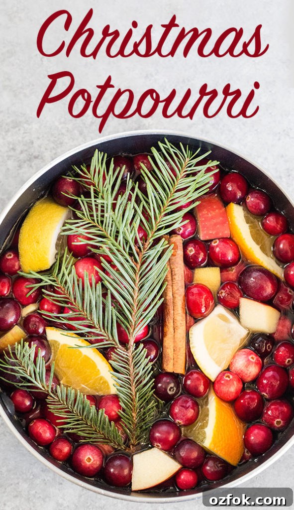 Homemade Christmas Potpourri Recipe for Festive Scented Décor 6 Homemade Christmas Potpourri with text at the top that reads "Christmas Potpourri".