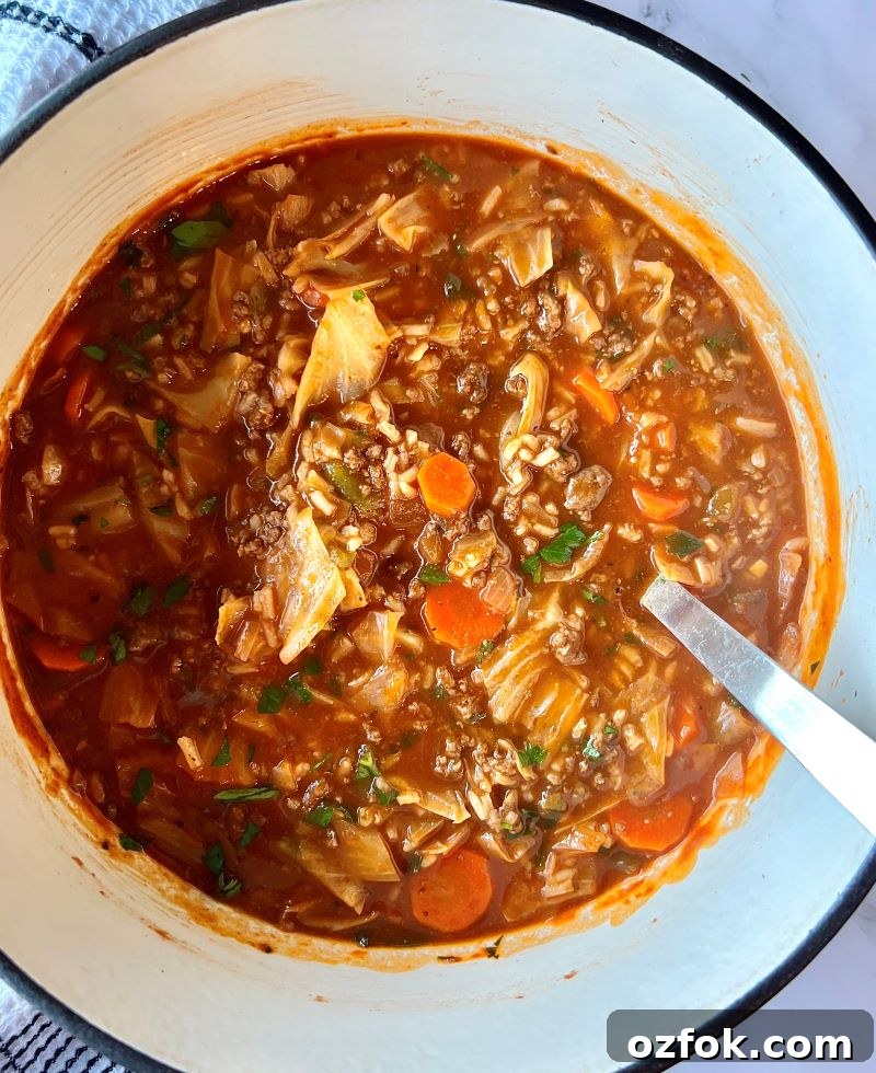 Hearty Cabbage Roll Soup Recipe — Classic Comfort in One Pot 2 Cabbage Roll Soup