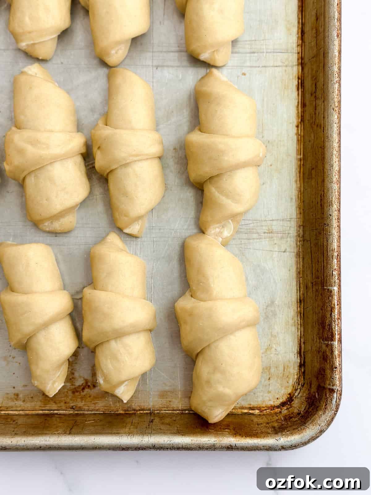 Flaky Homemade Buttery Dinner Rolls Recipe 12 rolls ready to bake.