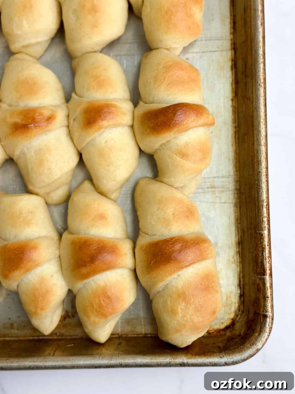 Flaky Homemade Buttery Dinner Rolls Recipe 13 a closeup of the homemade buttery dinner rolls after baking.