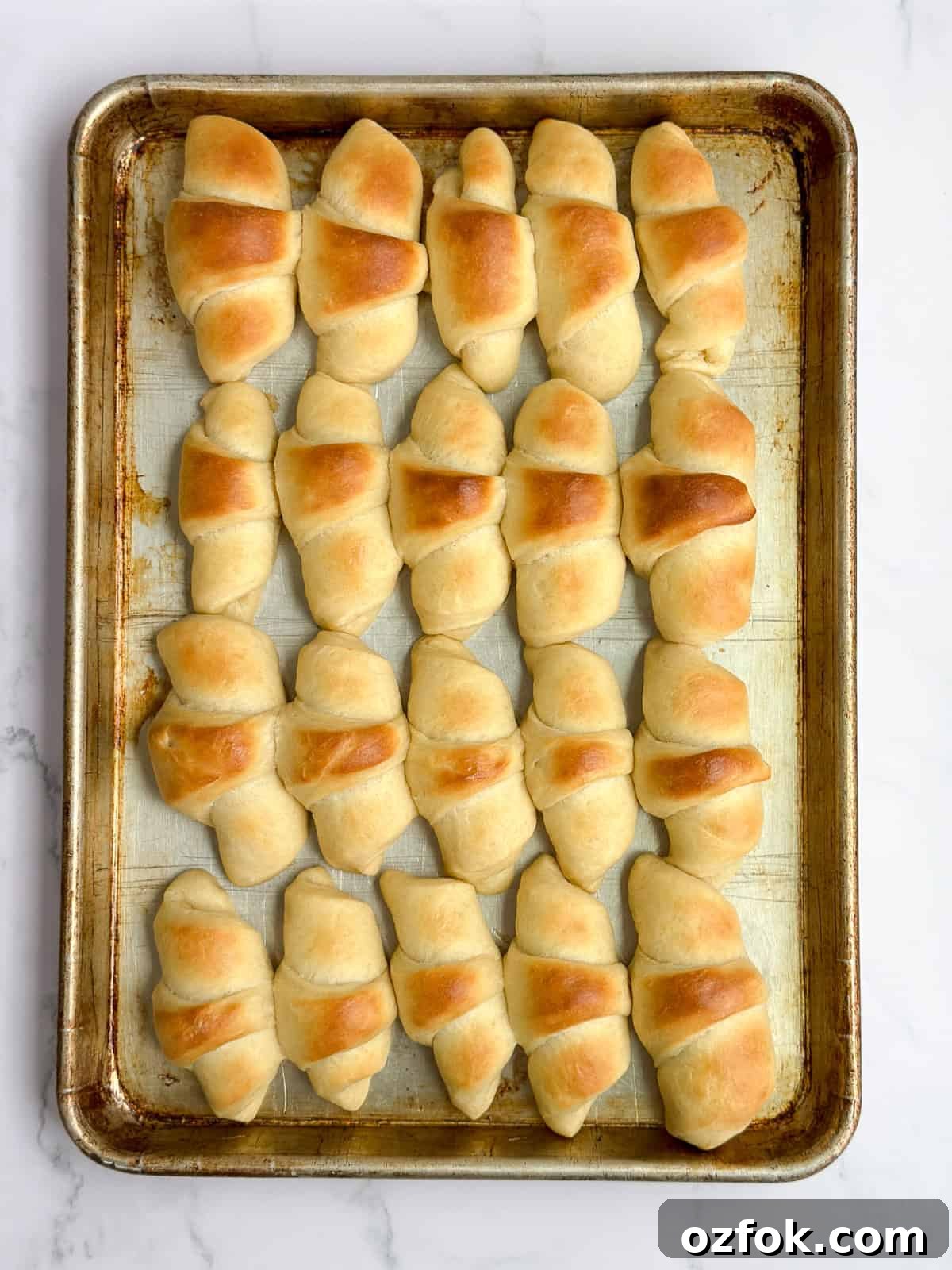 Flaky Homemade Buttery Dinner Rolls Recipe 14 a whole sheet pan of dinner rolls.