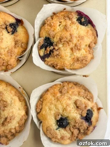 a closeup of a few blueberry peach muffins.