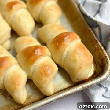 Flaky Homemade Buttery Dinner Rolls Recipe 19 a closeup up of buttery homemade crescent rolls on a baking sheet.