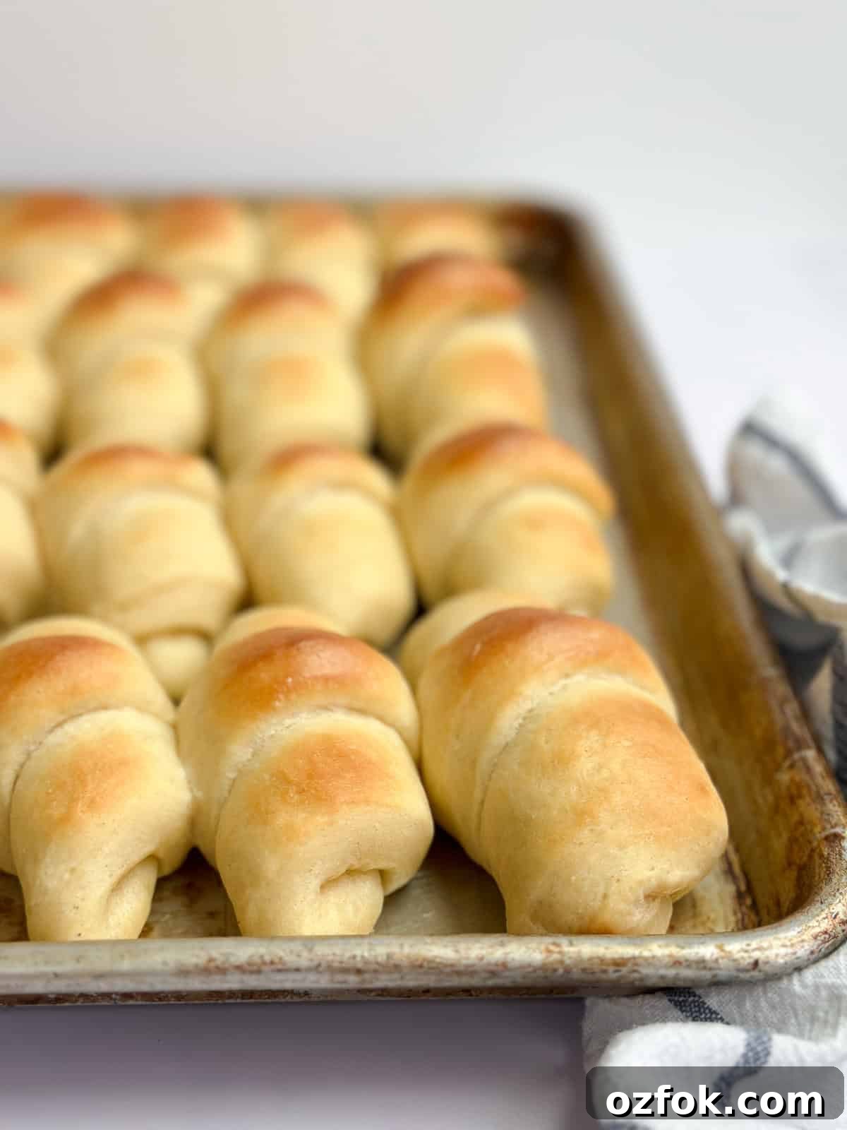 Flaky Homemade Buttery Dinner Rolls Recipe 3 a side view of my homemade buttery dinner rolls.