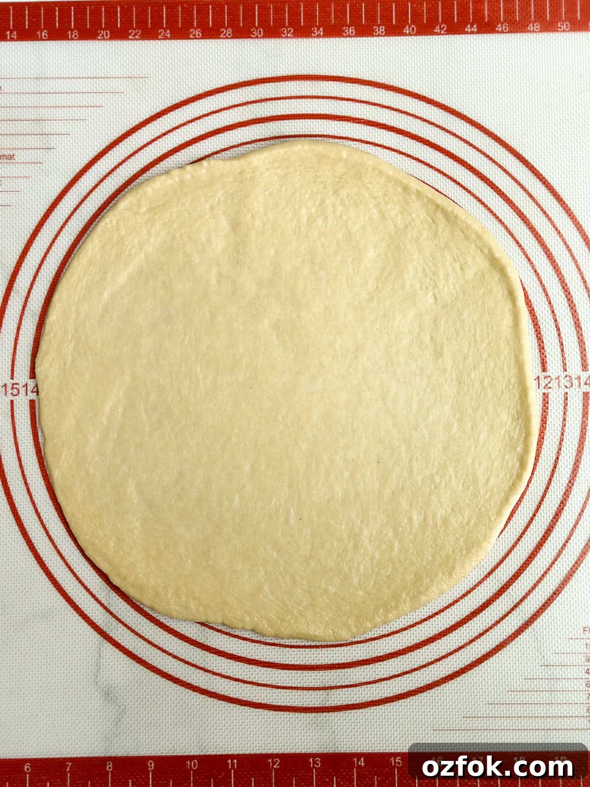 Flaky Homemade Buttery Dinner Rolls Recipe 8 one dough ball rolled into a circle.