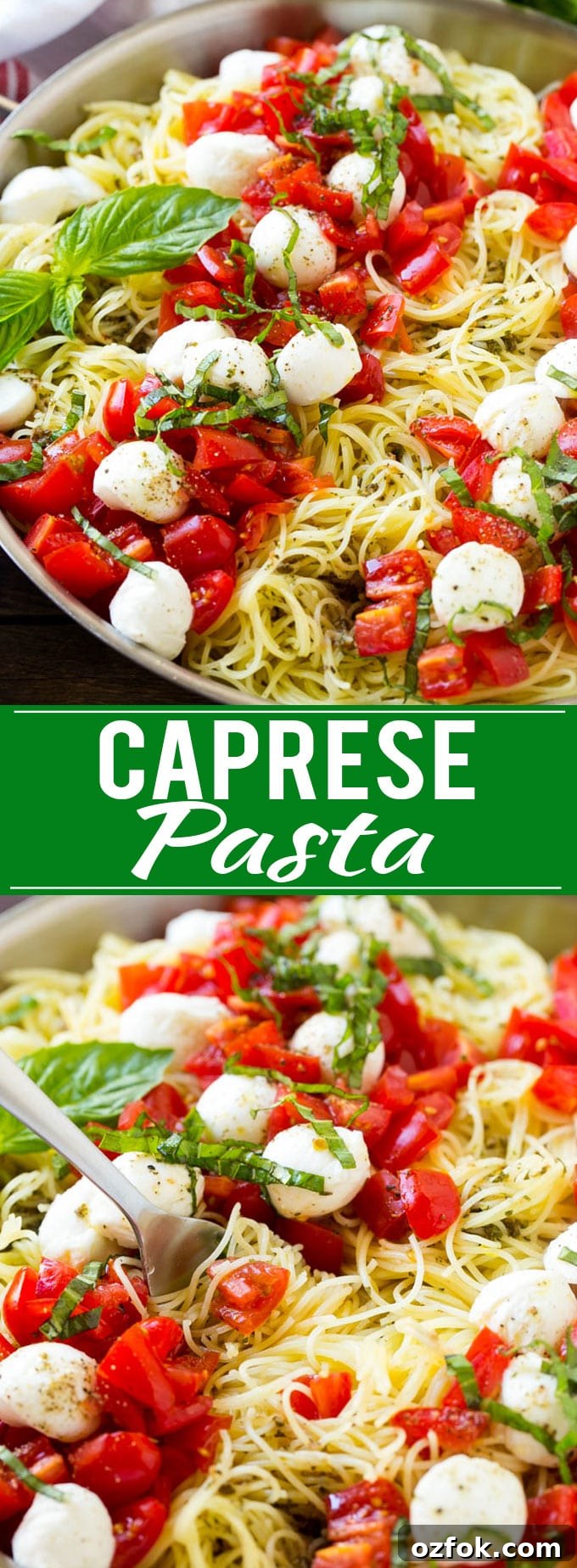 Caprese Pasta Recipe | Easy Pasta Recipe | Fresh Tomato Pasta | Caprese Recipe #caprese #pasta #tomato #dinner Caprese Pasta Recipe | Easy Pasta Recipe | Fresh Tomato Pasta | Caprese Recipe #caprese #pasta #tomato #dinner