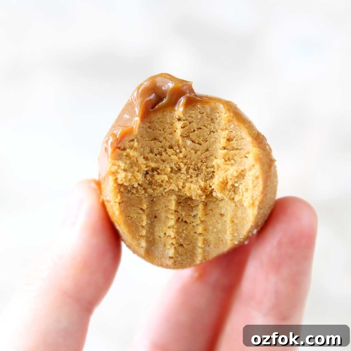 Dulce de Leche Protein Balls — 3-Ingredient Energy Bites 5 Protein balls variations