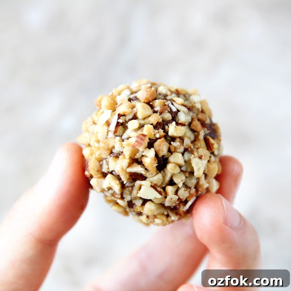Dulce de Leche Protein Balls — 3-Ingredient Energy Bites 9 Ferrero Rocher Protein Balls