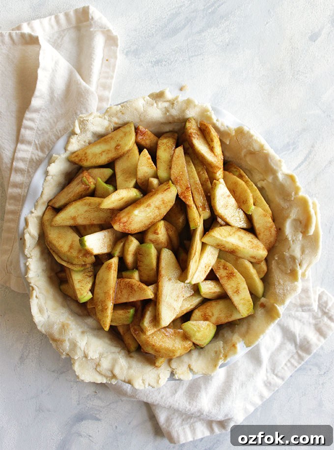 Gluten-Free Apple Pie Recipe: Flaky Crust and Cinnamon Filling 5 The perfect gluten free apple pie recipe! The apples are perfectly baked and the crust is flaky, buttery, and tender - no one will know it's gluten free. This pie makes a great Thanksgiving or Christmas dessert. So Yum! Also great for fall baking! | robustrecipes.com