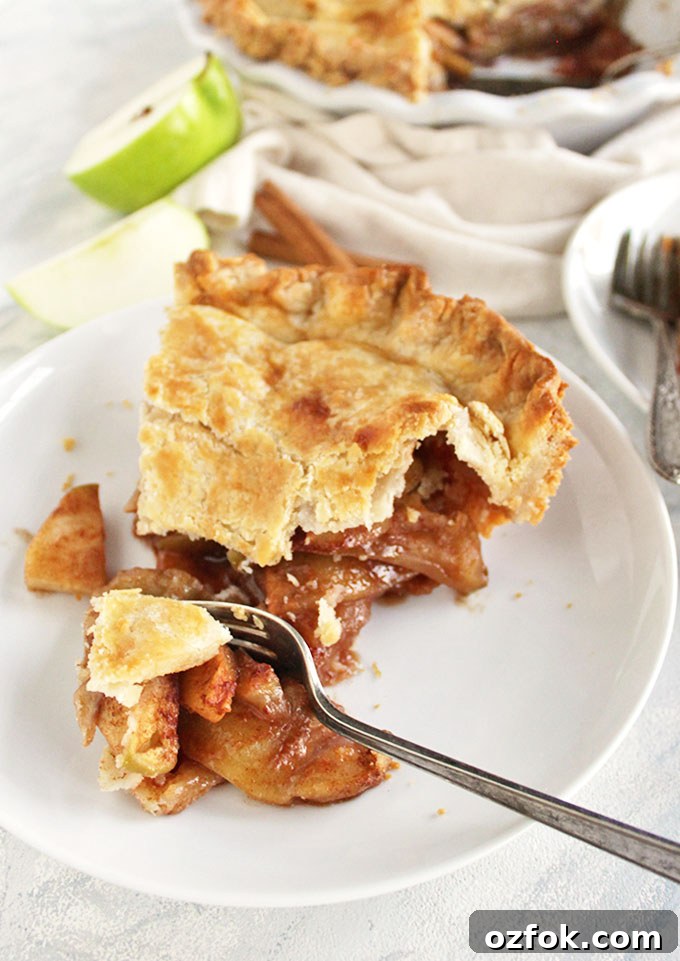 Gluten-Free Apple Pie Recipe: Flaky Crust and Cinnamon Filling 9 The perfect gluten free apple pie recipe! The apples are perfectly baked and the crust is flaky, buttery, and tender - no one will know it's gluten free. This pie makes a great Thanksgiving or Christmas dessert. So Yum! Also great for fall baking! | robustrecipes.com