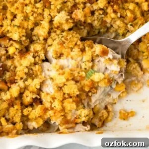 Cheesy Chicken and Classic Stuffing Casserole Recipe 8 A close up view of a large spoon of Chicken and Stuffing Casserole.