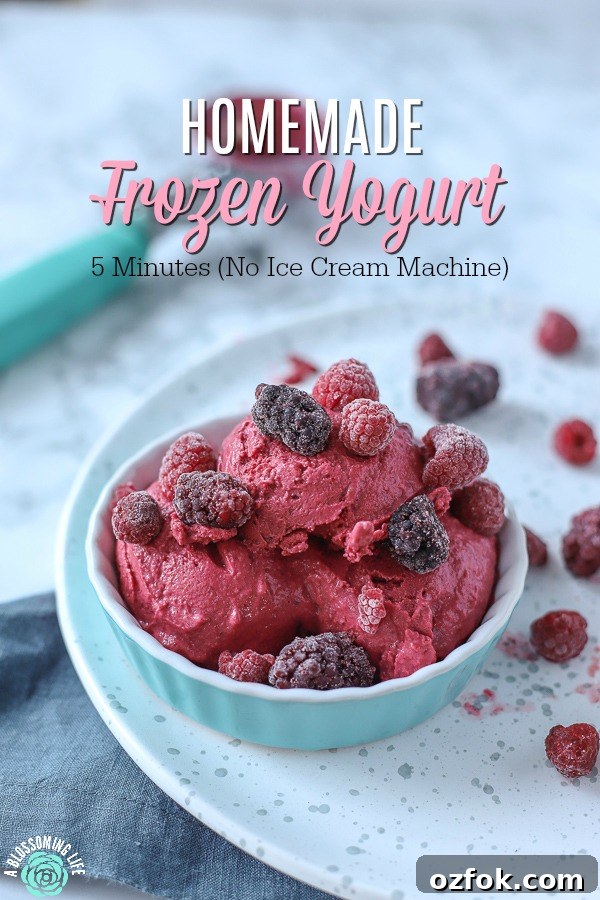 5-Minute Homemade Frozen Yogurt Without an Ice Cream Maker 2 homemade frozen yogurt in a teal dish topped with blackberries and raspberries on a white plate