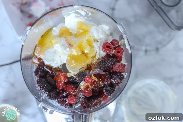 5-Minute Homemade Frozen Yogurt Without an Ice Cream Maker 4 greek yogurt, frozen blackberries and raspberries, and honey in a food processor to make frozen yogurt