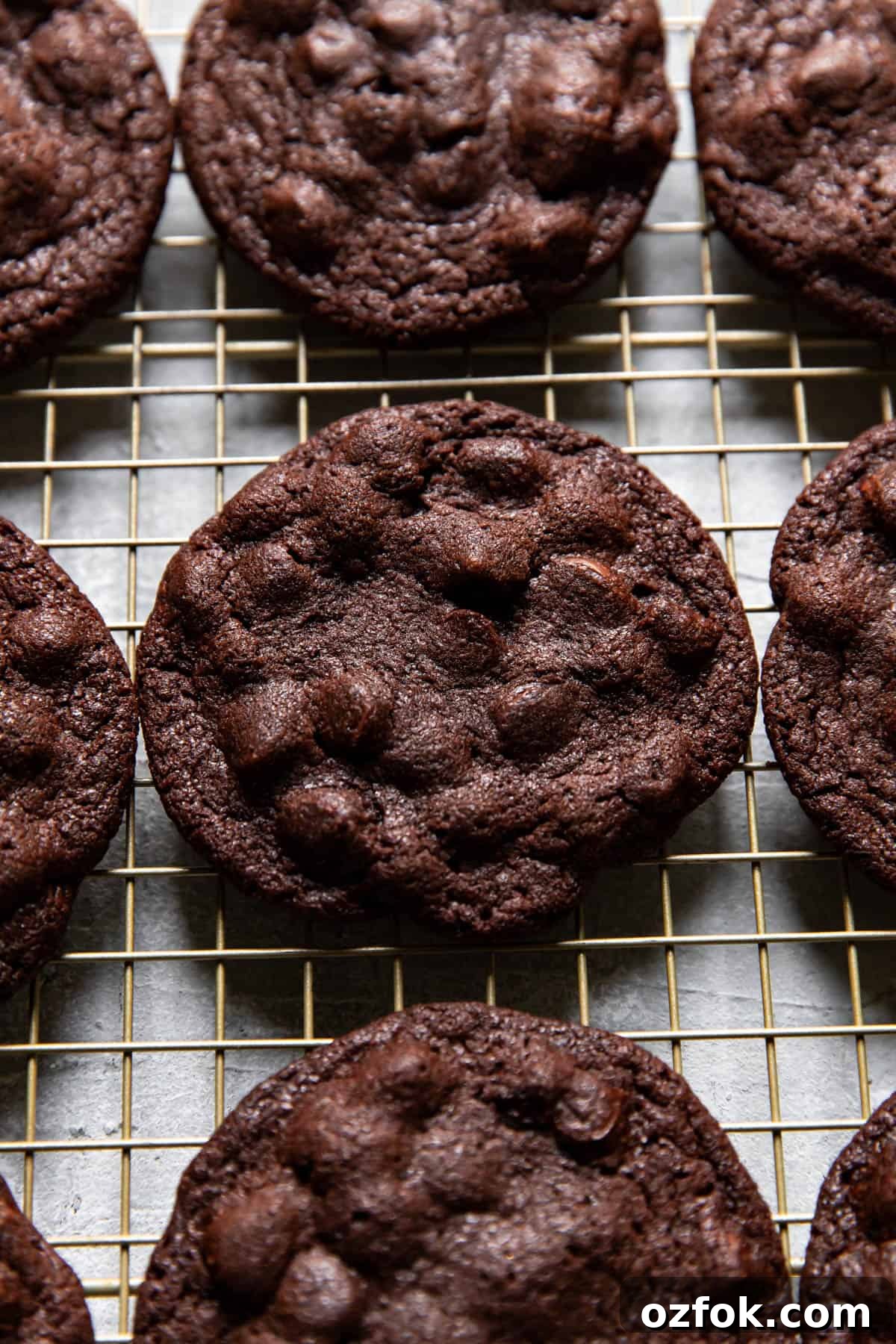 Double Chocolate Cookie Recipe: Rich, Chewy & Decadent 5 chocolate cookies.